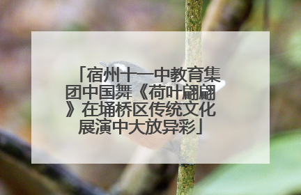 宿州十一中教育集团中国舞《荷叶翩翩》在埇桥区传统文化展演中大放异彩