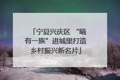宁夏兴庆区 “曦有一族”进城里打造乡村振兴新名片