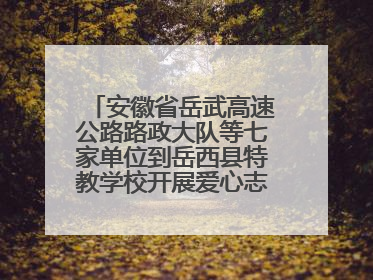 安徽省岳武高速公路路政大队等七家单位到岳西县特教学校开展爱心志愿活动