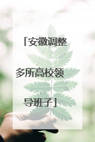 安徽调整多所高校领导班子