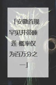 安徽首现罕见并蒂睡莲 概率仅为百万分之一