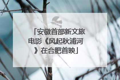 安徽首部新文旅电影《风起秋浦河》在合肥首映