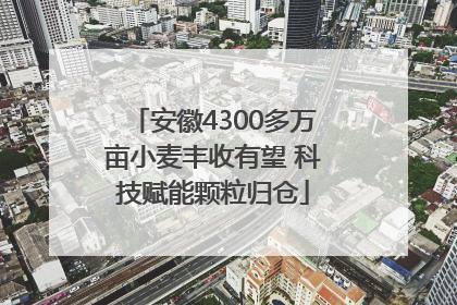 安徽4300多万亩小麦丰收有望 科技赋能颗粒归仓