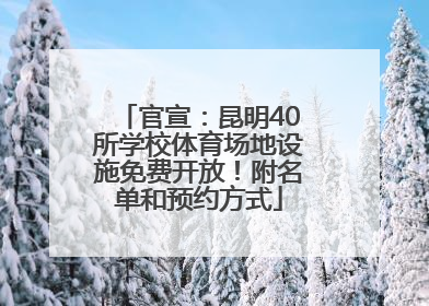 官宣：昆明40所学校体育场地设施免费开放！附名单和预约方式
