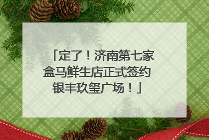 定了！济南第七家盒马鲜生店正式签约银丰玖玺广场！