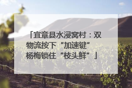 宜章县水浸窝村：双物流按下“加速键” 杨梅锁住“枝头鲜”