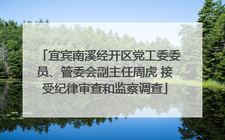 宜宾南溪经开区党工委委员、管委会副主任周虎 接受纪律审查和监察调查