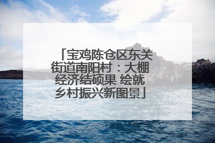 宝鸡陈仓区东关街道南阳村：大棚经济结硕果 绘就乡村振兴新图景