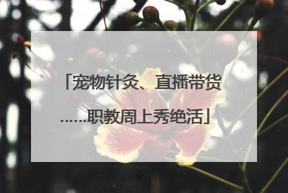 宠物针灸、直播带货……职教周上秀绝活