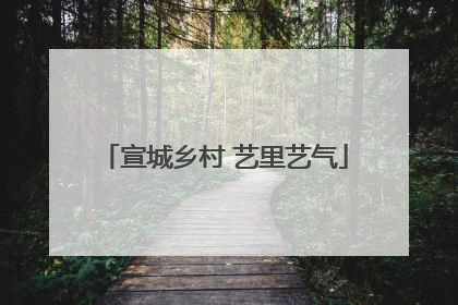 宣城乡村 艺里艺气