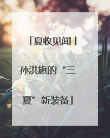 夏收见闻丨孙洪旗的“三夏”新装备