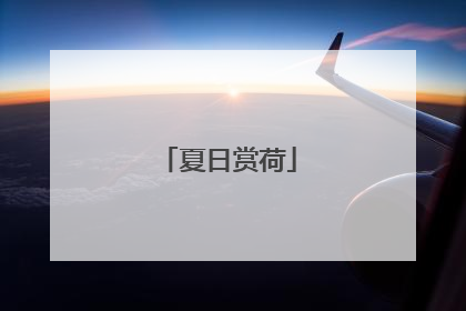 夏日赏荷