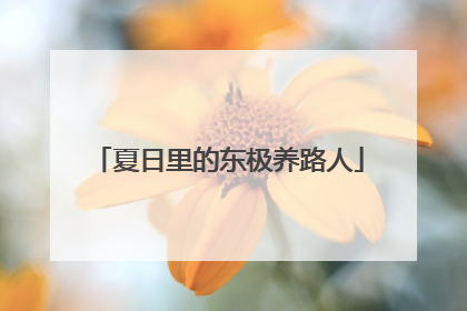 夏日里的东极养路人
