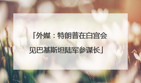 外媒：特朗普在白宫会见巴基斯坦陆军参谋长
