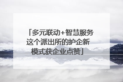 多元联动+智慧服务 这个派出所的护企新模式获企业点赞
