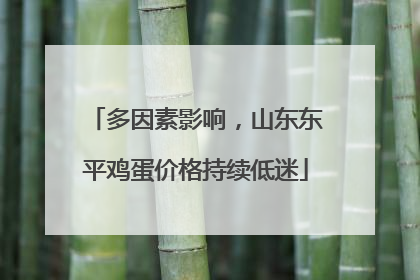 多因素影响，山东东平鸡蛋价格持续低迷