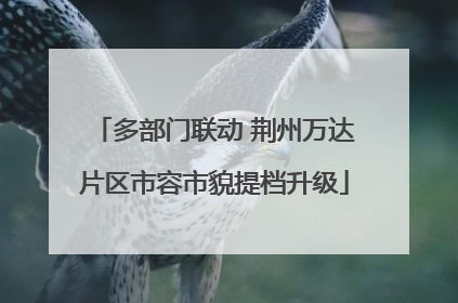 多部门联动 荆州万达片区市容市貌提档升级