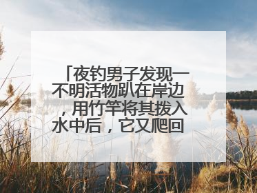 夜钓男子发现一不明活物趴在岸边，用竹竿将其拨入水中后，它又爬回岸边……