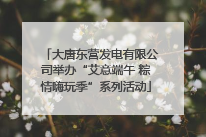 大唐东营发电有限公司举办“艾意端午 粽情嗨玩季”系列活动