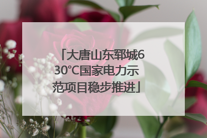 大唐山东郓城630℃国家电力示范项目稳步推进