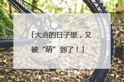 大喜的日子里，又被“萌”到了！