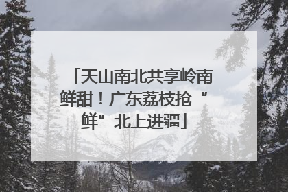 天山南北共享岭南鲜甜！广东荔枝抢“鲜”北上进疆
