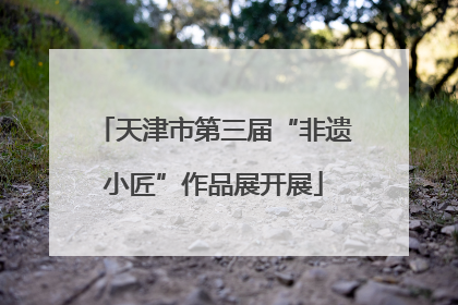 天津市第三届“非遗小匠”作品展开展
