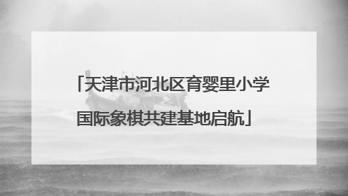 天津市河北区育婴里小学国际象棋共建基地启航