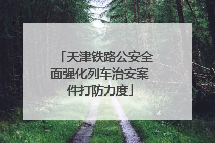 天津铁路公安全面强化列车治安案件打防力度
