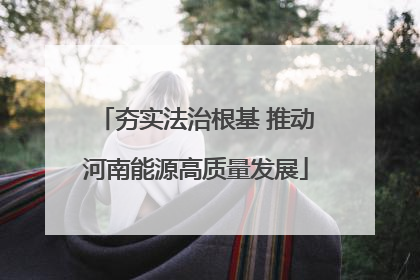 夯实法治根基 推动河南能源高质量发展