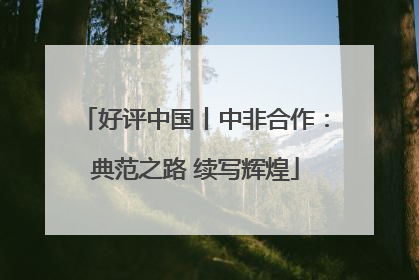 好评中国丨中非合作：典范之路 续写辉煌