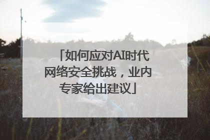 如何应对AI时代网络安全挑战，业内专家给出建议