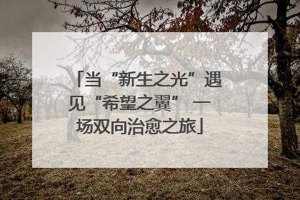 当“新生之光”遇见“希望之翼” 一场双向治愈之旅