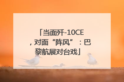 当面歼-10CE，对面“阵风”：巴黎航展对台戏