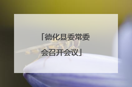 德化县委常委会召开会议
