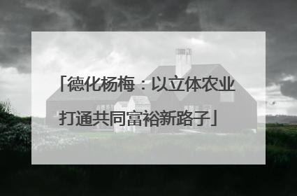 德化杨梅：以立体农业打通共同富裕新路子