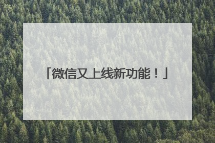 微信又上线新功能！