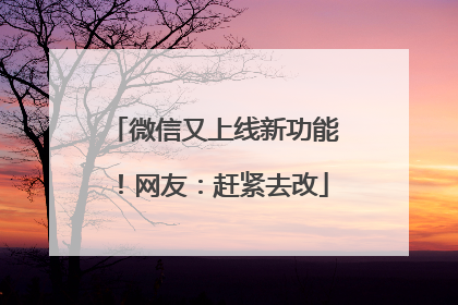 微信又上线新功能！网友：赶紧去改