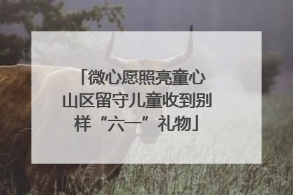 微心愿照亮童心 山区留守儿童收到别样“六一”礼物