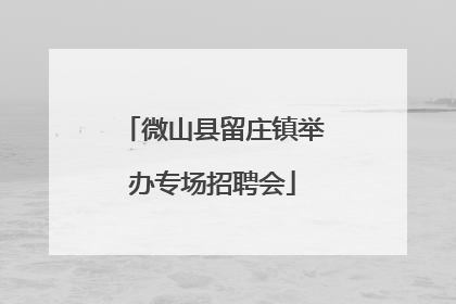 微山县留庄镇举办专场招聘会