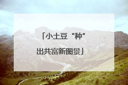 小土豆“种”出共富新图景