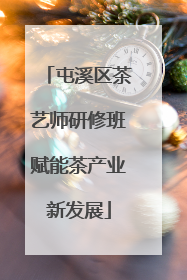 屯溪区茶艺师研修班赋能茶产业新发展