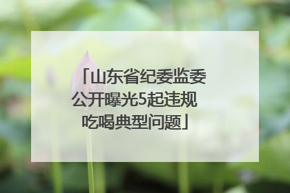 山东省纪委监委公开曝光5起违规吃喝典型问题