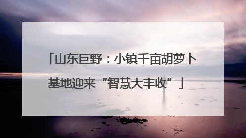 山东巨野：小镇千亩胡萝卜基地迎来“智慧大丰收”