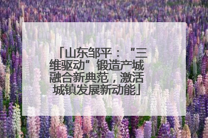 山东邹平：“三维驱动”锻造产城融合新典范，激活城镇发展新动能