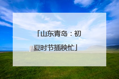 山东青岛：初夏时节插秧忙
