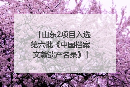山东2项目入选第六批《中国档案文献遗产名录》