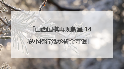 山西围棋再现新星 14岁小将行泓丞斩金夺银