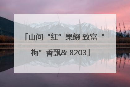 山间“红”果缀 致富“梅”香飘& 8203
