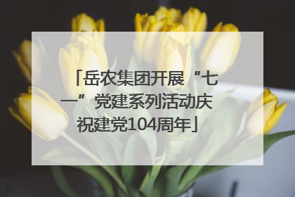 岳农集团开展“七一”党建系列活动庆祝建党104周年